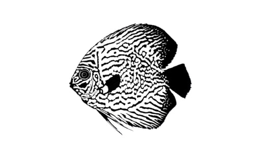 aaeglass.com