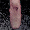 Glass Glo - Lilac Metallic Coloring For Fused Glass Lead Free