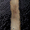 Glass Glo - Pearl Metallic Coloring For Fused Glass Lead Free
