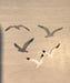 aaeglass.com