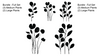 NEW! Plants Set 1 Simple Screen Adhesive Stencil Screens for Glass