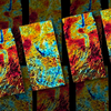 Cherry Fusion Granite Texture on Black • 90 COE - 2" x 4"