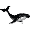 Simple Screen™  Pre-burned Mighty Whale Design for Screen Printing & Powder Printing