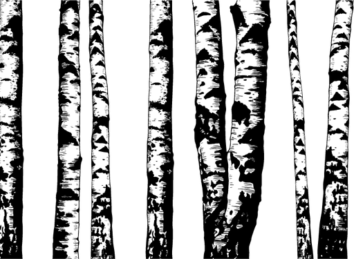 aaeglass.com