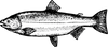 Simple Screen™ Pre-burned Lake Fish Reverse Design for Screen Printing & Powder Printing