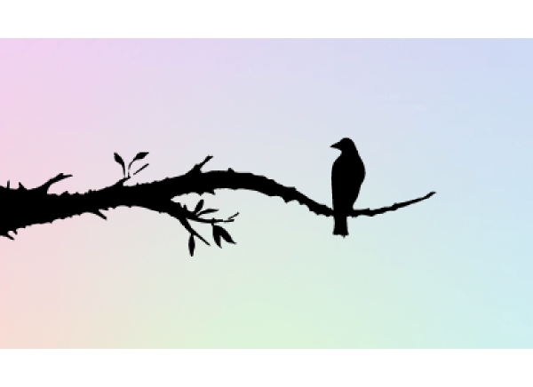 Simple Screen™ Pre-burned Bird on Branch  for Screen Printing  & Powder Printing