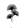 Simple Screen™ Pre-burned Ginko Leaves for Screen Printing  & Powder Printing