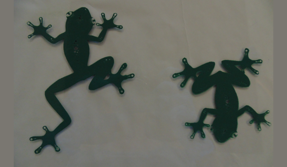 Frog screen printing sales