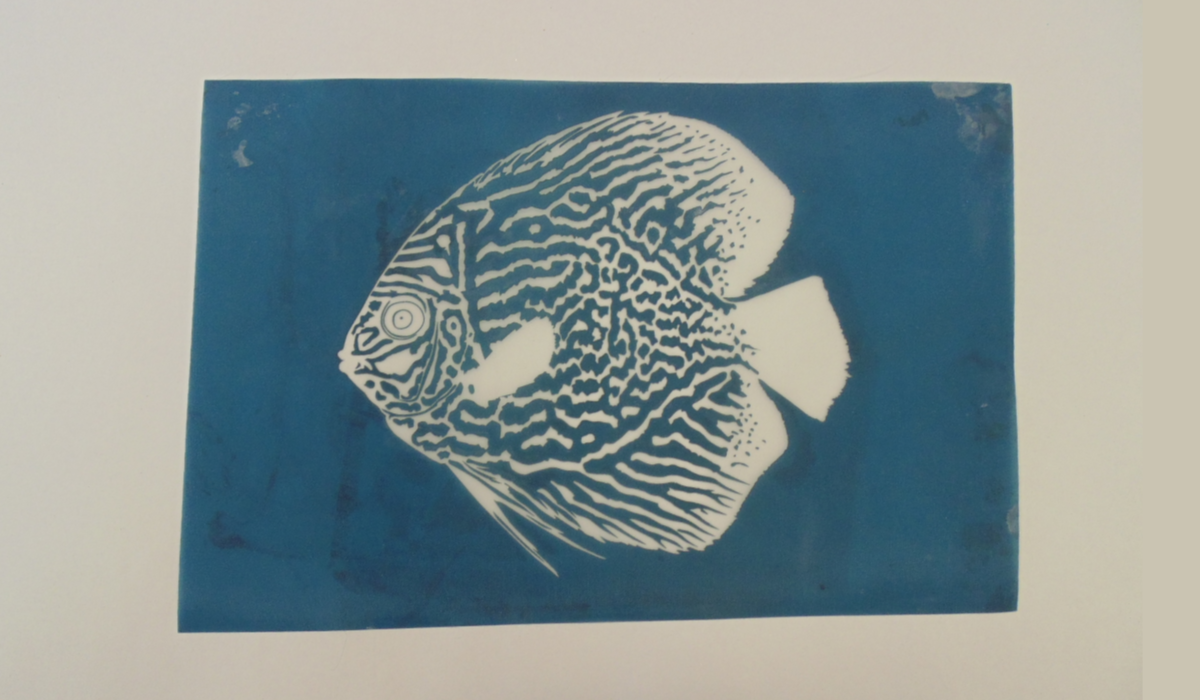 Simple Screen™ Pre-burned Discus Fish Design for Screen Printing & Pow ...