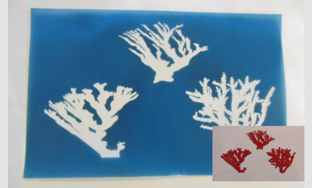 Simple Screen™  Pre-burned Coral Set for Screen Printing & Powder Printing