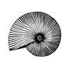 Simple Screen™  Pre-burned Nautilus Shell for Screen Printing & Powder Printing